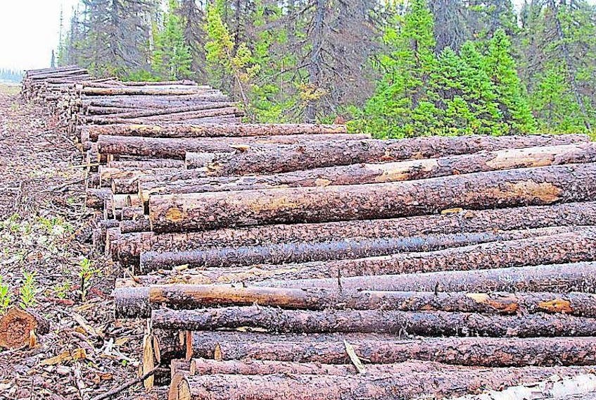 Clearcutting, not the forestry industry itself, is what concerns Digby residents, according to Warden Jimmy MacAlpine.