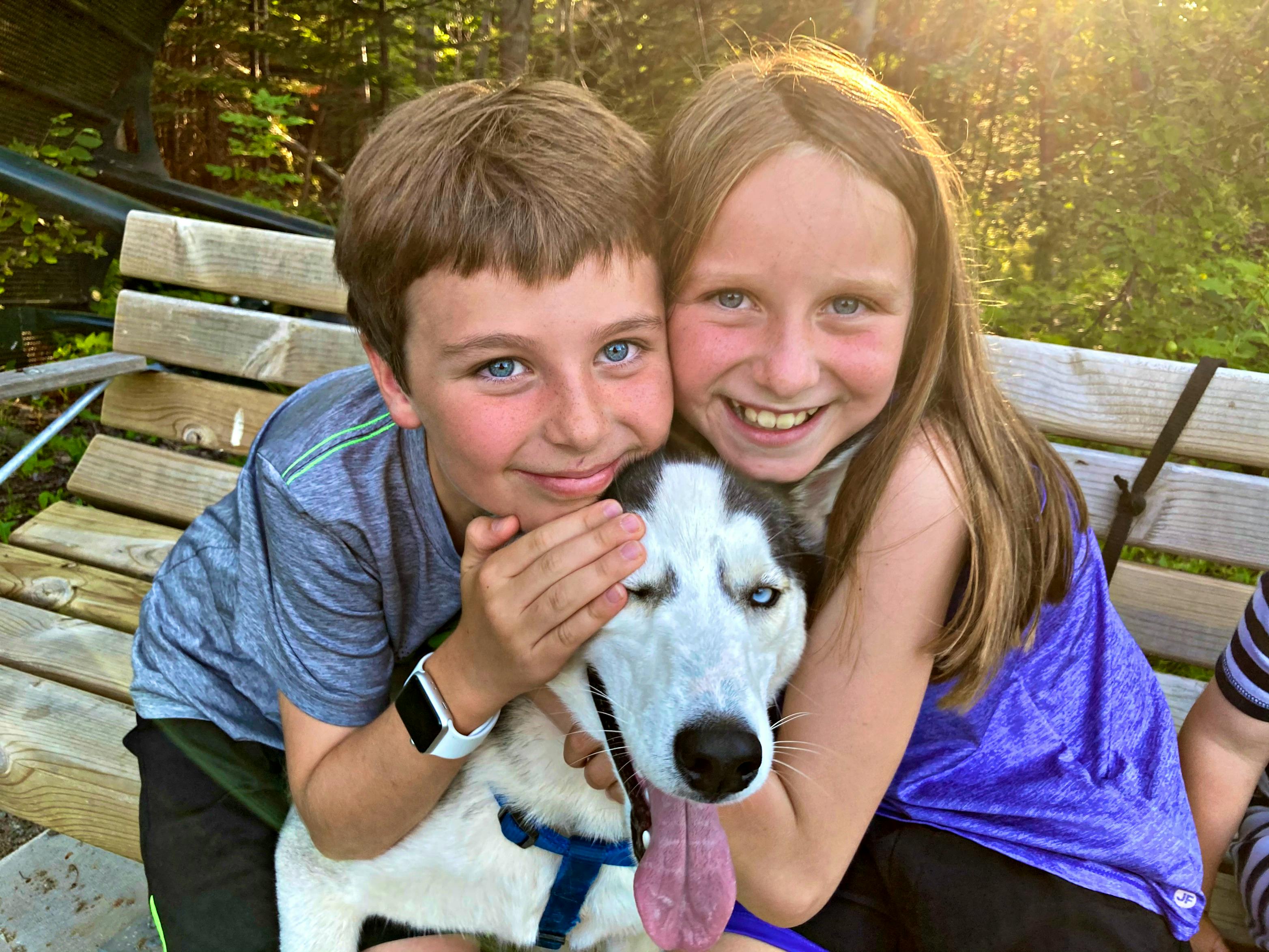 Koda, a rescue husky from the PEI Humane Society, perfectly fits Megan Livingstone's family.