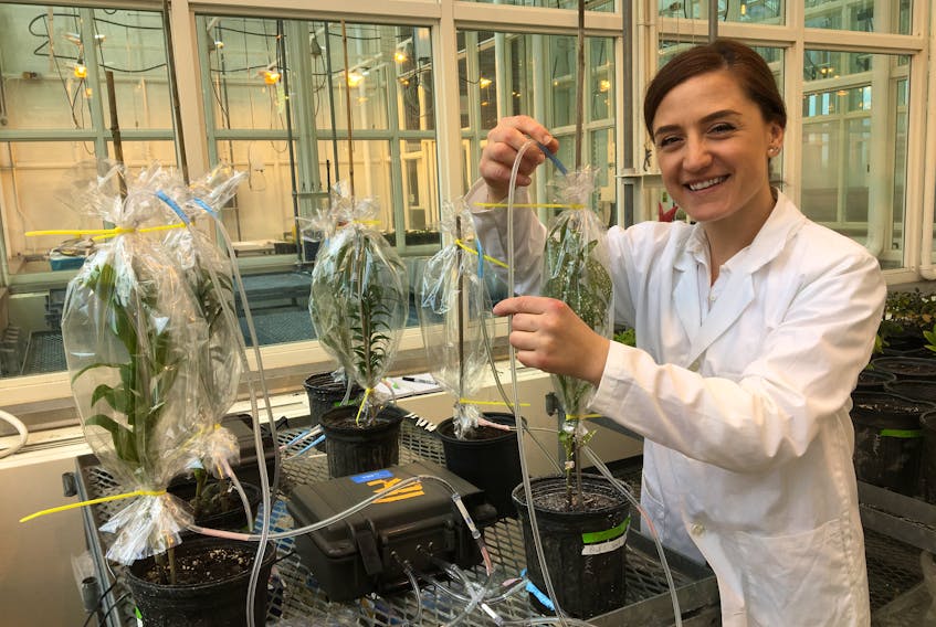 Dr. Nicoletta Faraone is a natural product chemist and biochemist at Acadia University. Dr. Faraone is breaking new ground with research focused on the discovery of bioactive natural products for pest management and crop protection, and their application in the food and health industry. 