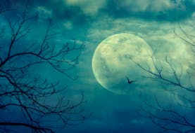 A full moon on Oct. 31 is quite rare, but trick-or-treaters will be able to look up and see one this year. 