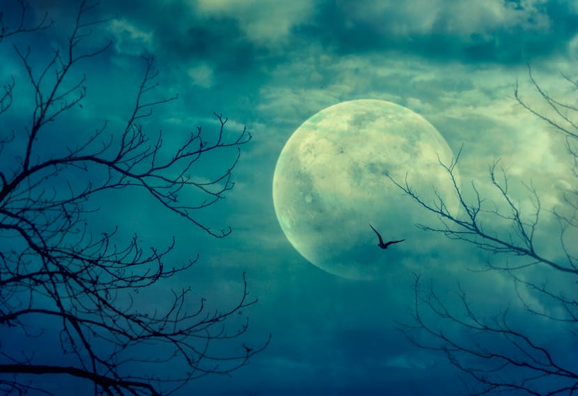 A full moon on Oct. 31 is quite rare, but trick-or-treaters will be able to look up and see one this year. 