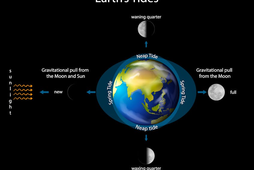 While most people know that the moon influences the Earth's tides, do you know how and why this happens?
