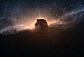 One of the most famous example of a dark nebula is the Horsehead Nebula.