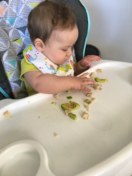 strategi os selv fugtighed Baby-led weaning growing in popularity among East Coast parents | SaltWire