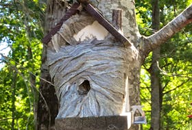 The birdhouse on Linda and Brian Keddy's Millville, N.S. property has been entirely encased by a hornet's nest. 