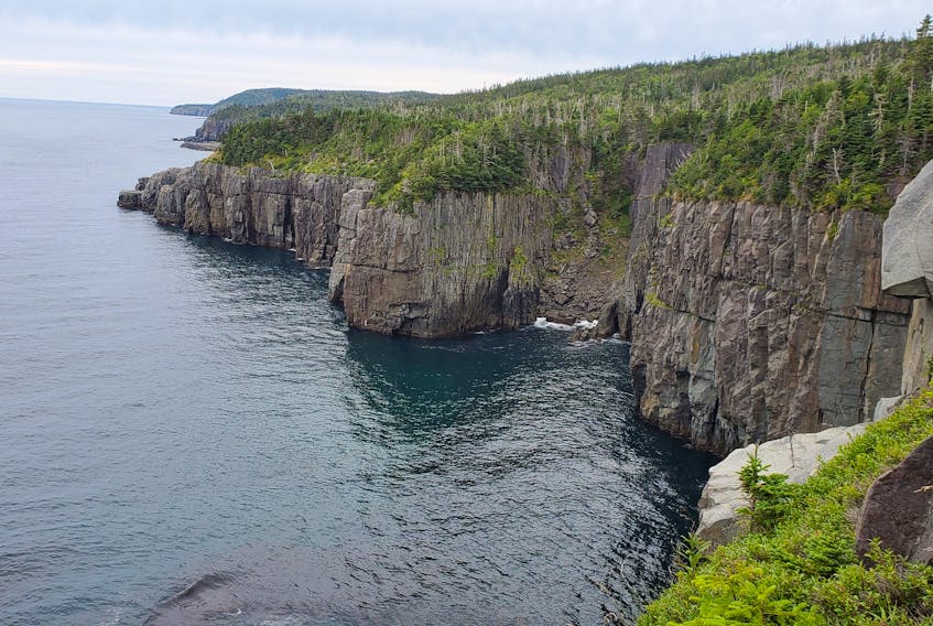 William Hamilton was hiking 34 kilometres, from Petty's Harbour, N.L. to the Spout.