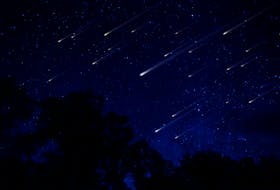The Geminid meteor shower - one of the year's most anticipated meteor showers - is expected to be at peak viewing overnight Dec. 13-14.