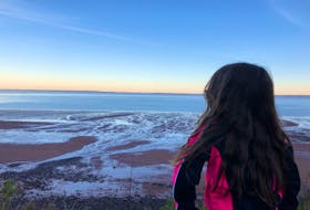Anna Fegan looks down at the beach at Blomidon. It's a challenging hike for families, but the views can't be beat.