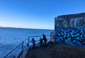 A visit to York Redoubt should be on a to-do list for Nova Scotia hikers. There are great views over the York Shore, as well as plenty of things to see and do.