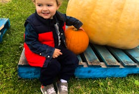 Henry Armstrong chooses his pumpkin for the year at Two Rivers Wildlife Park.