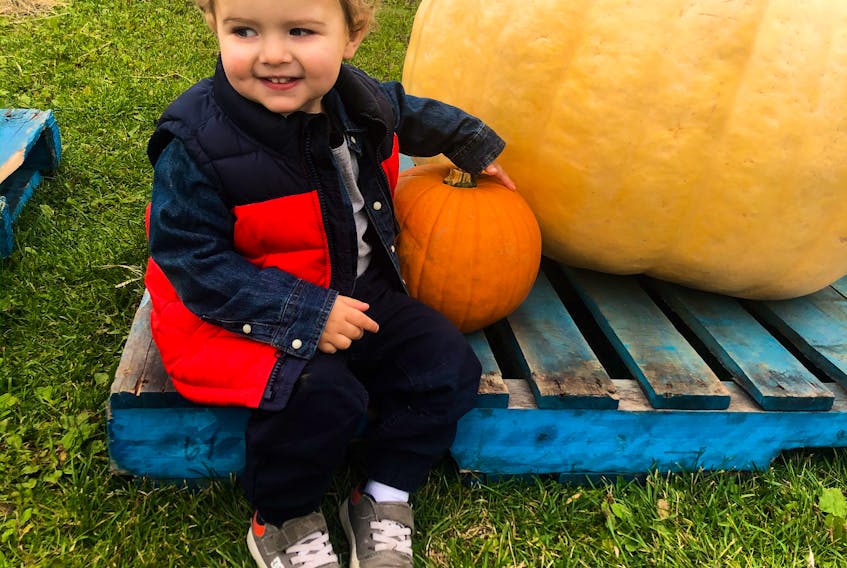 Henry Armstrong chooses his pumpkin for the year at Two Rivers Wildlife Park.