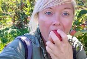 Tiffany Thornton tastes one of the apples from Noggins in the Annapolis Valley. The farm has a u-pick with 16 varieties of apples.