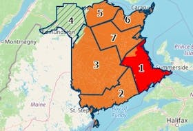 A look at New Brunswick's response to COVID-19 by health zone.