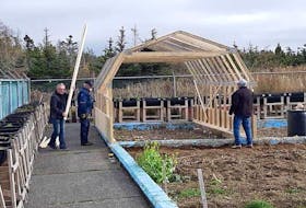 Members of the Island Harbour 50 Plus Club start building their greenhouse last June. They would grow approximately 150 pounds of tomatoes in the greenhouse by the end of the summer. - Photo supplied by Cyril Chislett 