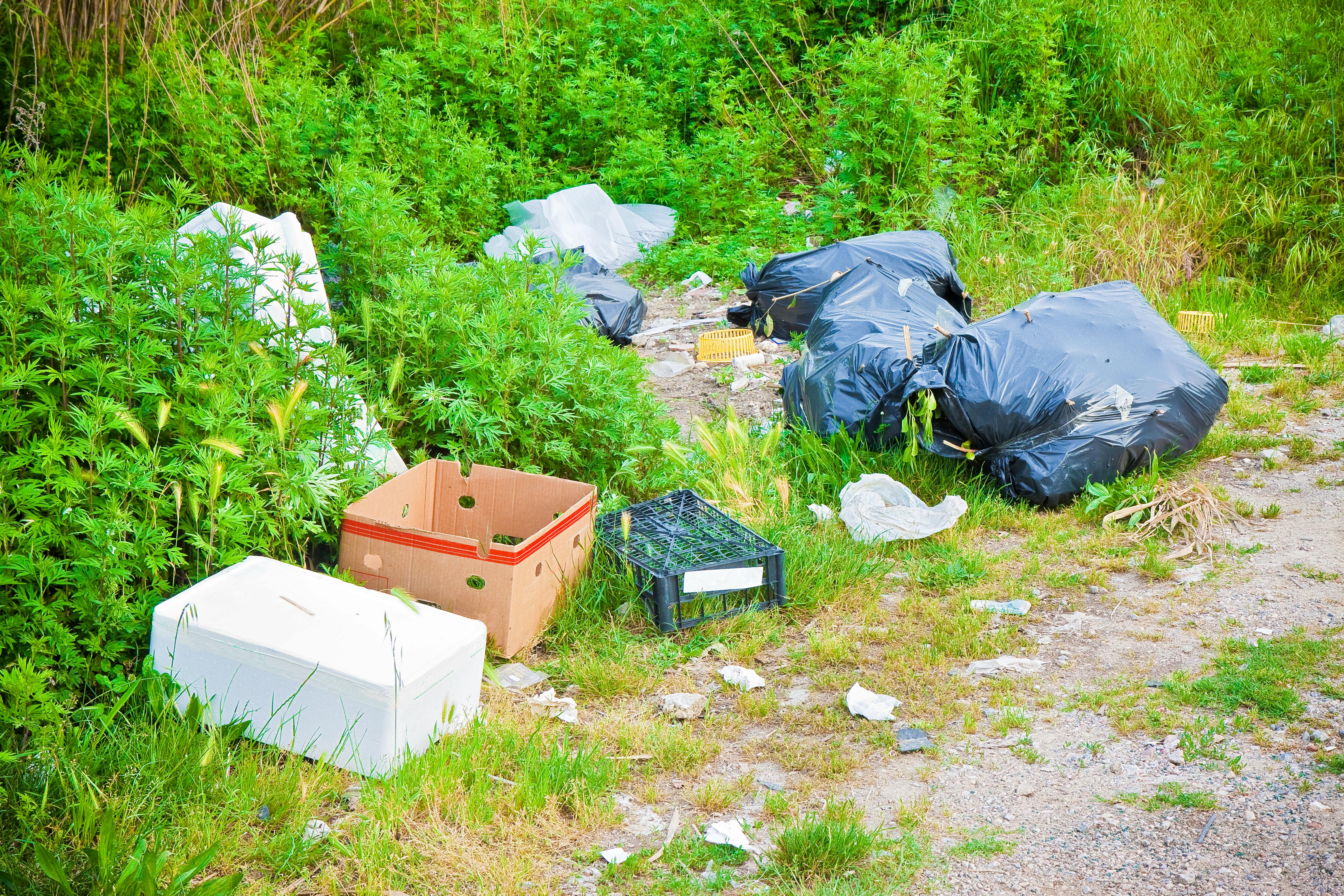 Illegal dump sites are up this year in Nova Scotia, particularly during closures of landfill sites from March to June due to COVID-19.