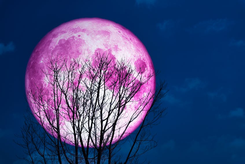 A pink moon is shown in this stock image. 123RF.com