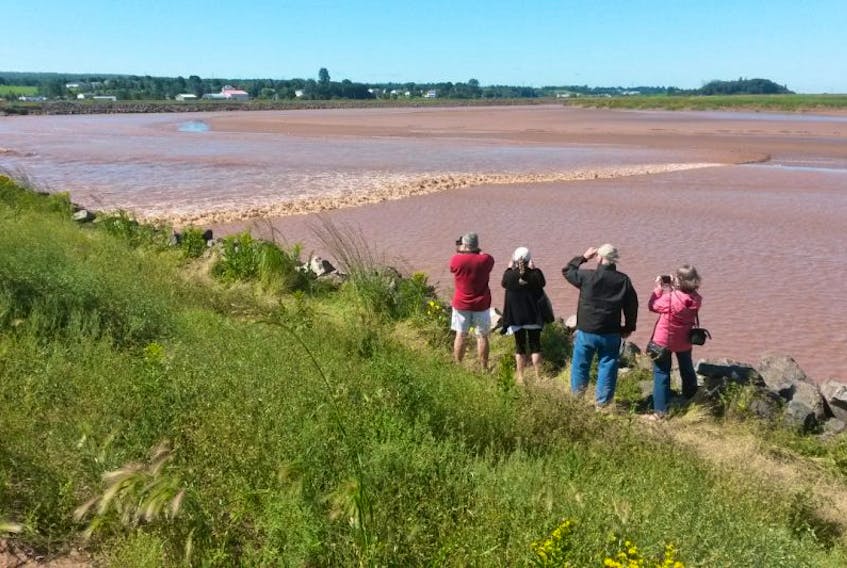 Watching the tidal bore in Truro