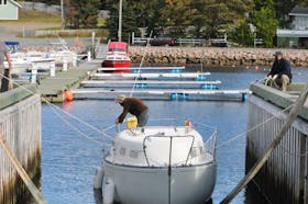 The owner of the sailboat Amanda ties ropes to his craft as it was being prepared for removal from the water at the Holyrood Marina on Wednesday afternoon to be hoisted and carried via a heavy duty lift to its spot for the upcoming winter months.
-Joe Gibbons/The Telegram 
