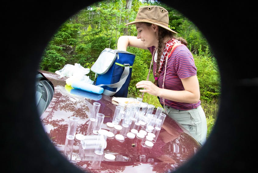 Hannah Kosick sets up specimen bottles during a bee exploration in Big Pond on Aug. 1, 2020. CONTRIBUTED/CHRIS THOMPSON