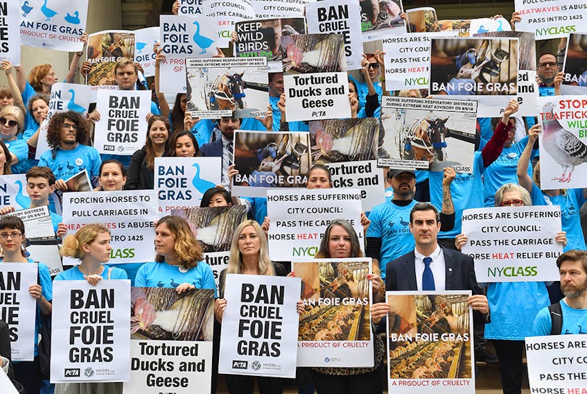  Animal rights activists hold a rally in support of a bill to ban the sale of foie gras on June 18, 2019 at New York City Hall in New York.