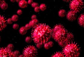 Coronaviruses, CoV, 2019-nCoV viruses. Dangerous flu strain cases as a medical health risk concept. deadly outbreak infection. pandemic, epidemic, endemic. 3D render, Isolated.