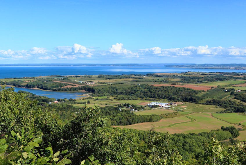  Perfectly pastoral: The Annapolis Valley and the Bay of Fundy from The Lookoff on North Mountain.