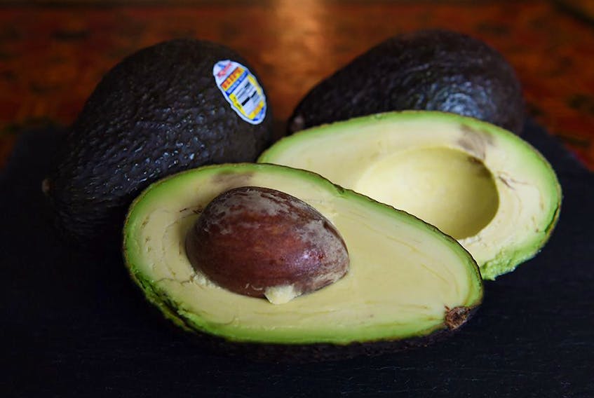In a world’s first, Australian scientists have developed a cryopreservation technique for avocado shoots, which enables up to 500 plants to grow from a single shoot.