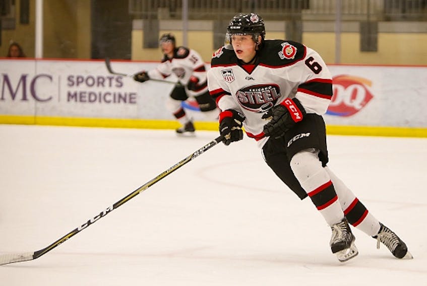 Maple Leafs prospect Nick Abruzzese played two seasons with the Chicago Steel of the USHL before moving on to Harvard University.