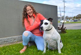 Tracy Power happily spends time with her 65 lb. Mastiff Roxy, while at the Glace Bay Fire Department Tuesday, thanking firefighters following the dramatic rescue of her dog Monday night. Power said her dog fell over a 50 ft. cliff and happeningThanksgiving Day, she’s grateful for her dog, the Glace Bay Fire department and other rescuers at the scene.  Sharon Montgomery-Dupe/Cape Breton Post