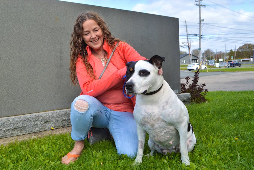 Tracy Power happily spends time with her 65 lb. Mastiff Roxy, while at the Glace Bay Fire Department Tuesday, thanking firefighters following the dramatic rescue of her dog Monday night. Power said her dog fell over a 50 ft. cliff and happeningThanksgiving Day, she’s grateful for her dog, the Glace Bay Fire department and other rescuers at the scene.  Sharon Montgomery-Dupe/Cape Breton Post