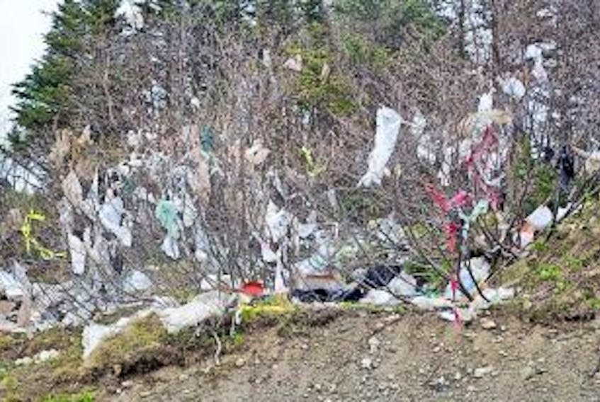 ['Chantelle MacIsaac photo<br />Blown-off plastic bags decorate the nearby tree branches.<br /><br />']