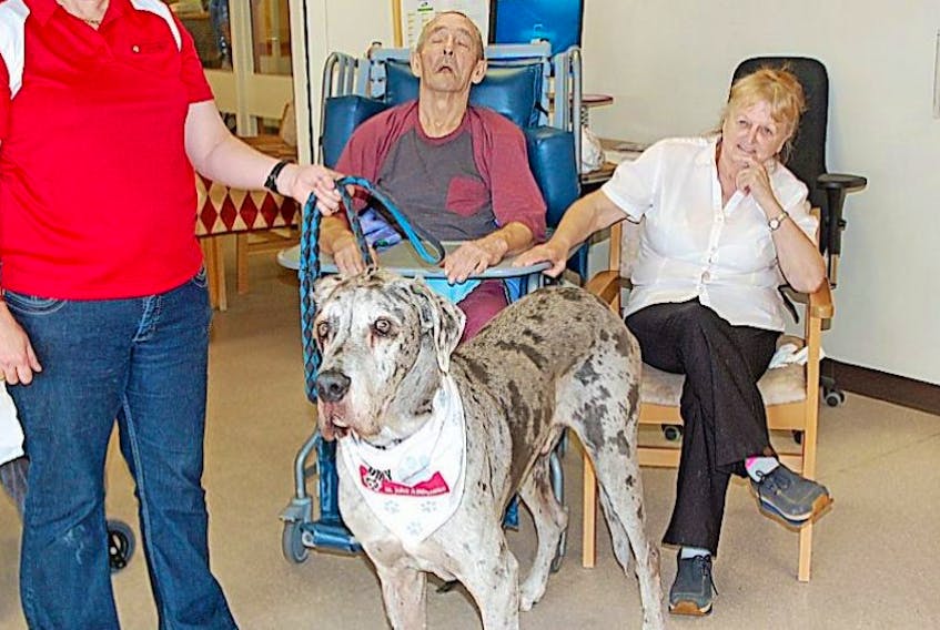 Isle Van der Merwe and her therapy dog Dante visited the long-term care residents at the Dr. Charles L. LeGrow Health Centre on Sept. 21. Here they are pictured with Harold and Dawna Melbourne.