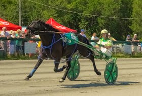 Woodmere Stealdeal and driver Clare MacDonald are shown all alone at the finish in their track record mile of 1:56.2 in Atlantic Sires Stakes action for two-year-old pacing colts at Northside Downs in North Sydney, N.S., earlier this summer. Tanya Romeo/Special to SaltWire Network