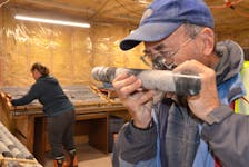 Senior geologist Bruce Mitchell examines core samples brought up by Anaconda Mining Inc. gold exploration drilling in Goldboro in 2017. - File