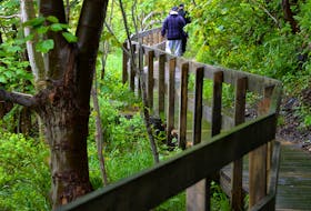 It was a wet and rainy day for a walk Monday but people could still be seen on St. John’s walking trails including this boardwalk next to Rennies River.

Keith Gosse/The Telegram