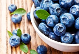 New Brunswick government is looking to become one of world’s biggest producers of wild blueberries.