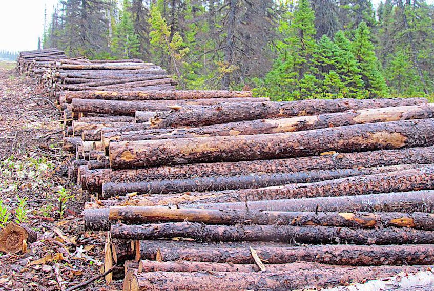 Emails show the provincial government declining Active Energy Group's requested amendments for forestry permits. FILE PHOTO