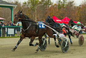Intended Royalty #2, and driver Redmond Doucet won one of two divisions of the Governors Cup Series Saturday at Northside Downs. Kiss Me I'm Irish and Mark Pezzarello finished second. CONTRIBUTED • TANYA ROMEO