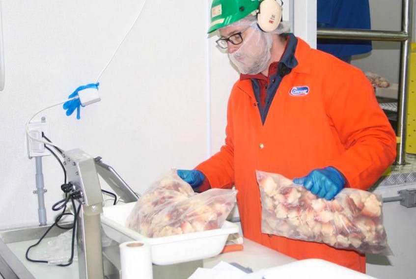 <p>Grand Bank Seafoods employee Damon Greene checks bags of Artic surf clams.</p>
