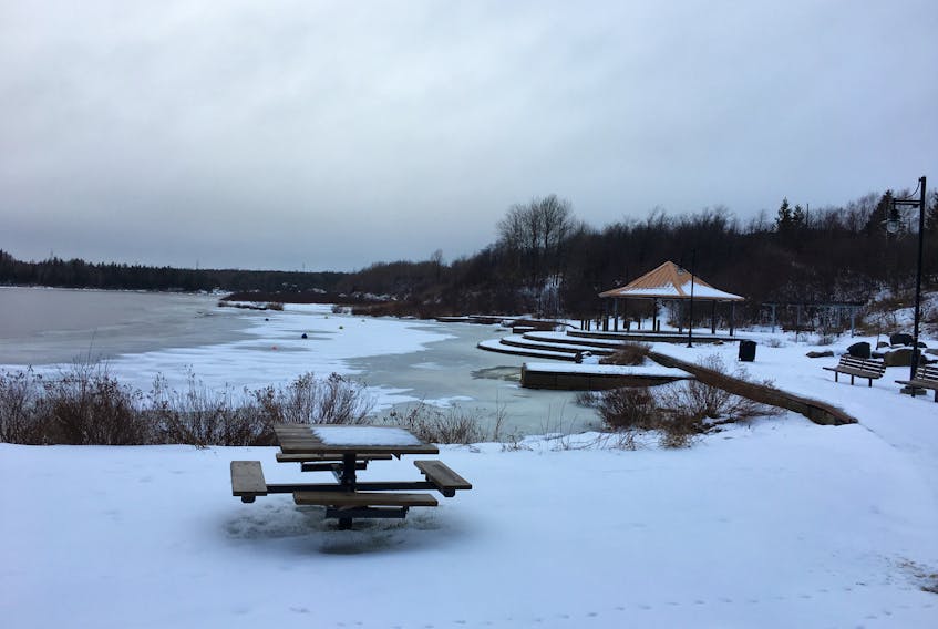 Gorge Park in Grand Falls-Windsor will see an expansion as the town moved to enter the design phase of an addition to the park during a recent council meeting. Nicholas Mercer/SaltWire Network 
