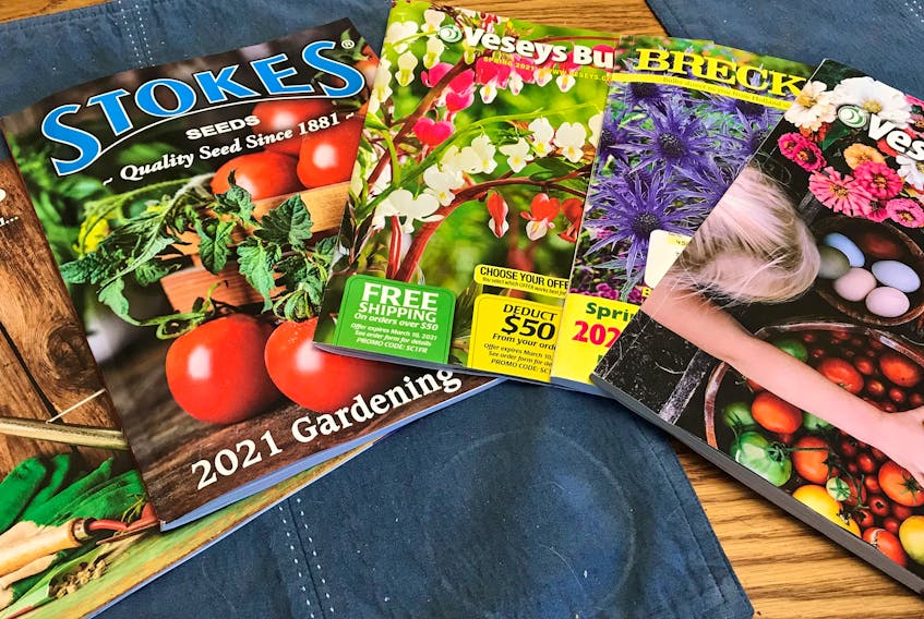 Now is the time to start going through catalogues and websites to order flower and vegetable seeds for this year’s growing season.