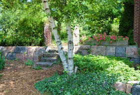There are plenty of reasons for building a rock garden.