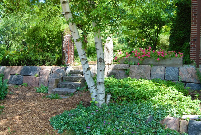 There are plenty of reasons for building a rock garden.