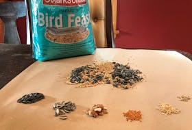 Sort through a bag of birdseed for a horticulture experiment. Contributed photo 