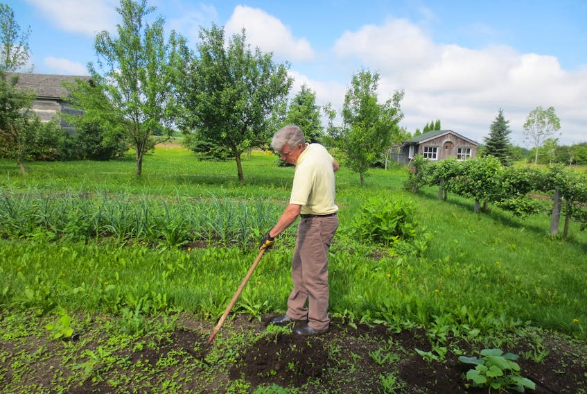 Mark Cullen works in his vegetable garden. 