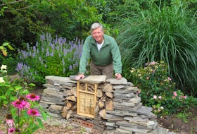 Mark Cullen with his insect hotel. Contributed photo. 