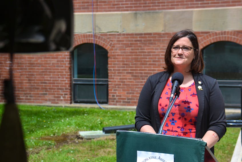 Green education critic Karla Bernard is urging the province to prepare and release pilot operational plans for the fall re-opening of up to six schools by Aug. 1.