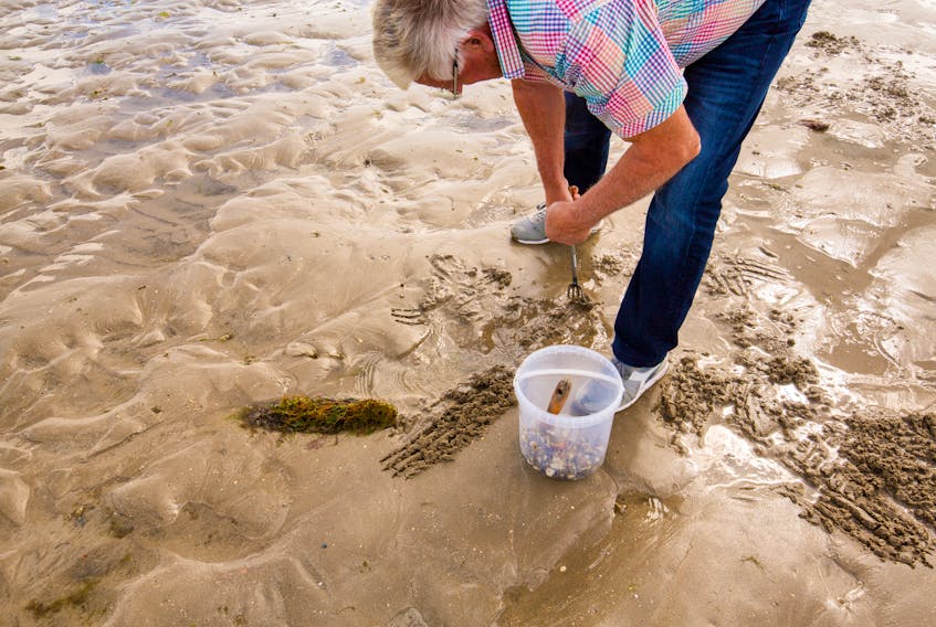 Clam digging is one example of a possible experiential tourism activity.
