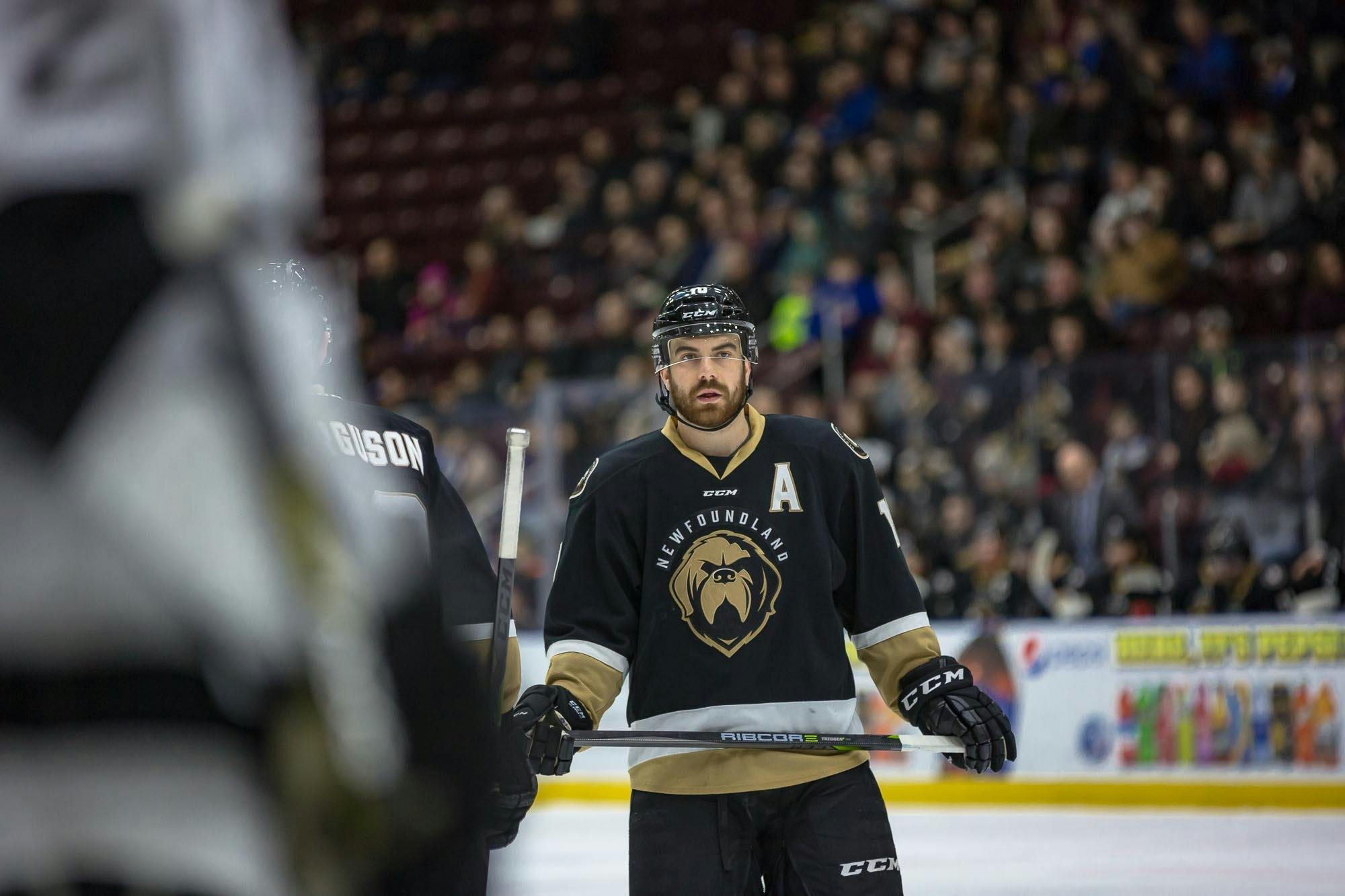 Many of Newfoundland and Labrador s top hockey players will be