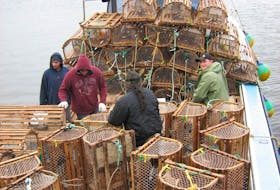 Mi'kmaq fishers catch lobster for moderate livelihood fishery in this file photo. Contributed